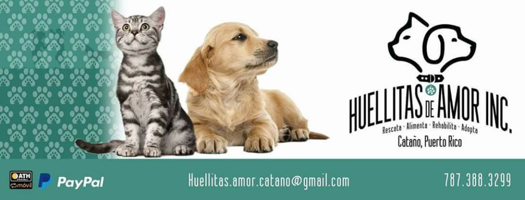 huellitas-de-amor-banner